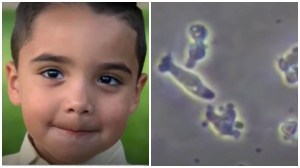 Texas child dies from brain-eating amoeba, water testing underway