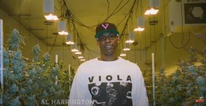 Al Harrington, Smoke Marijuana Black America