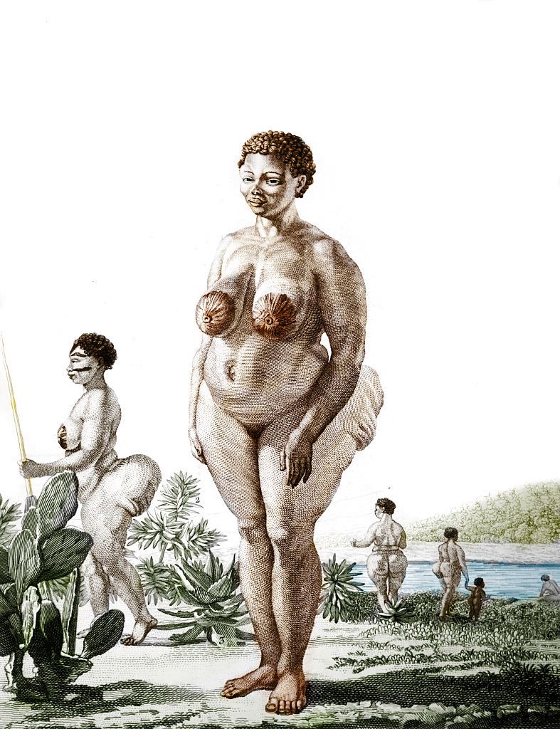 Illustration of Hottentot Venus